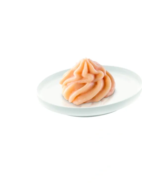 activa CLASSIC Creme Lachs 75g