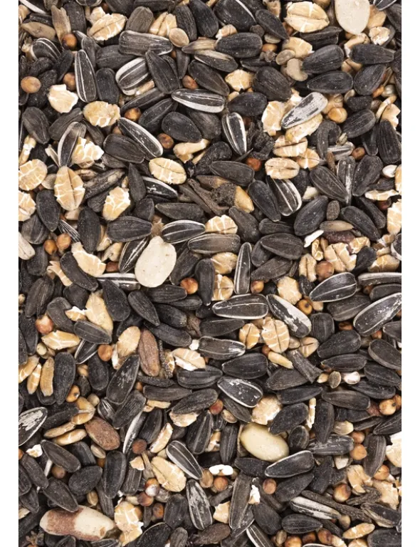 activa CLASSIC Meisenfutter 1kg