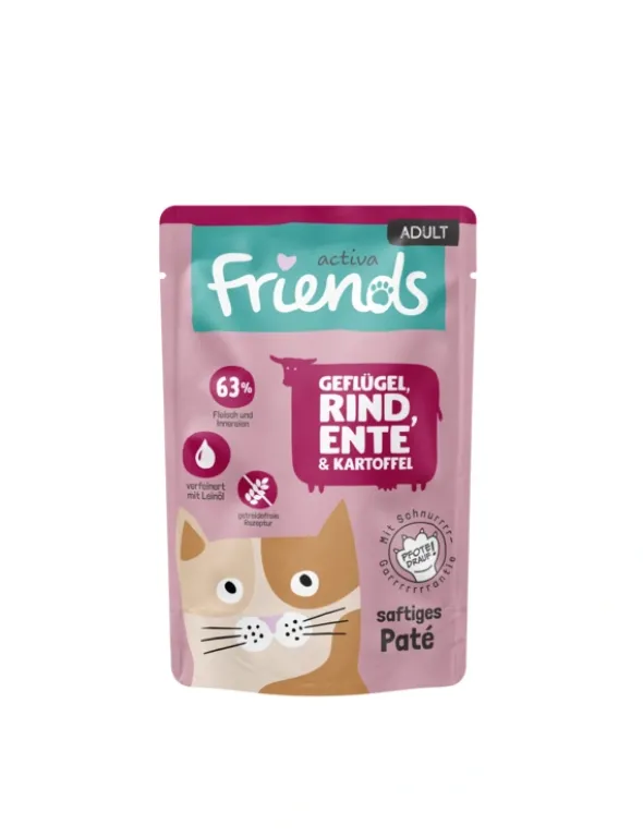 activa friends Adult Multipack köstliche Schnurr-Box 1kg