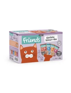 activa friends Adult Multipack köstliche Schnurr-Box 1kg