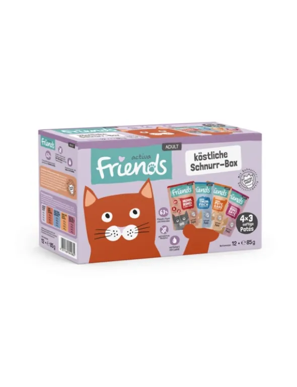 activa friends Adult Multipack köstliche Schnurr-Box 1kg