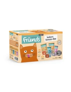 activa friends Adult Multipack leckere Genuss-Box 1kg