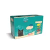 activa Friends Adult Ragout Multipack 1kg