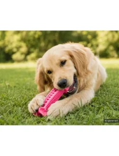 activa Friends Dental Kauknochen pink 19 cm