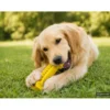 activa Friends Dental Kauknochen gelb 19 cm
