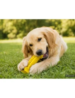 activa Friends Dental Kauknochen gelb 19 cm