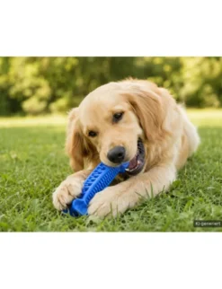 activa Friends Dental Kauknochen blau 19 cm