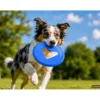 activa Friends Frisbee blau Ø 25 cm