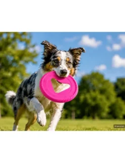 activa Friends Frisbee pink Ø 25 cm