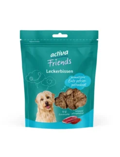 activa Friends Leckerbissen Ente 55g