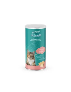 activa Friends Leckerbissen Lachs 25g