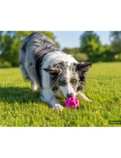 activa Friends Snack-Ball pink Ø 6 cm