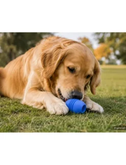 activa Friends Snack-Ei blau 10 cm