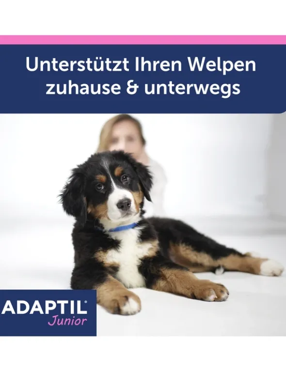 ADAPTIL Junior Halsband