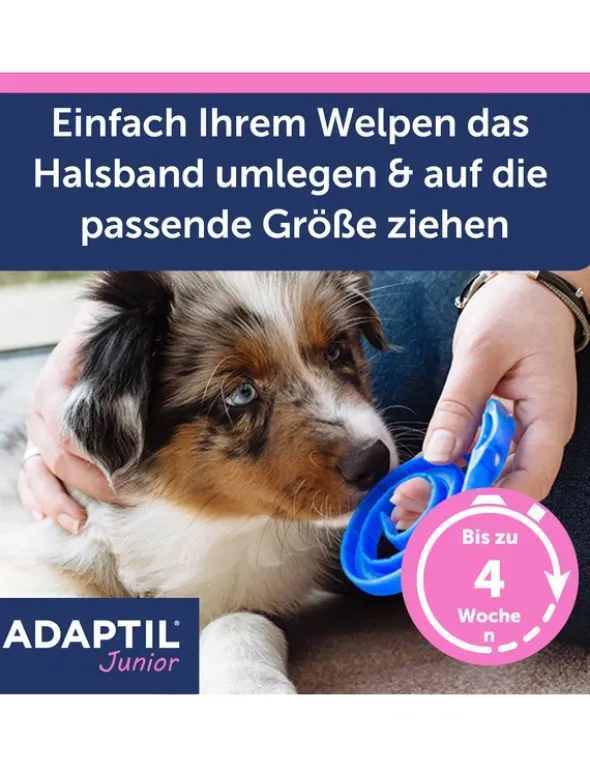 ADAPTIL Junior Halsband