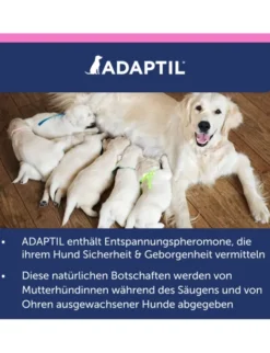 ADAPTIL Junior Halsband