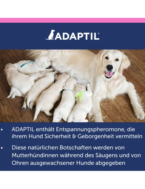 ADAPTIL Junior Halsband