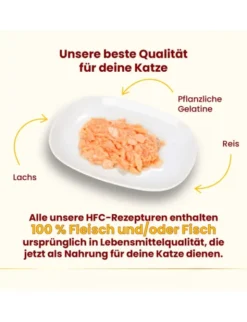 almo nature HFC Jelly Lachs 70g