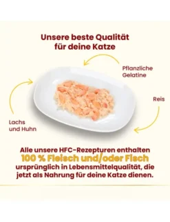 almo nature HFC Jelly Lachs und Huhn 70g