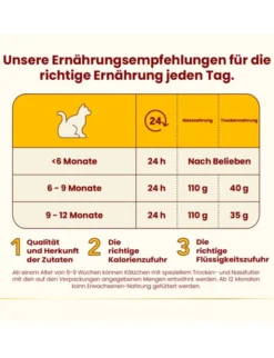 almo nature HFC Kitten mit Huhn 70g