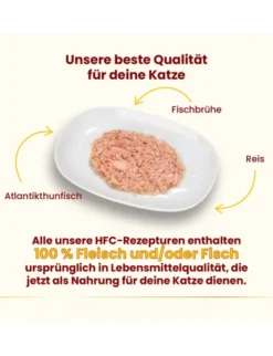 almo nature HFC Natural Atlantikthunfisch 70g