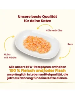 almo nature HFC Natural Huhn mit Kürbis 70g