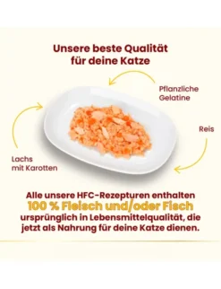 almo nature HFC Natural Lachs mit Karrotten 70g