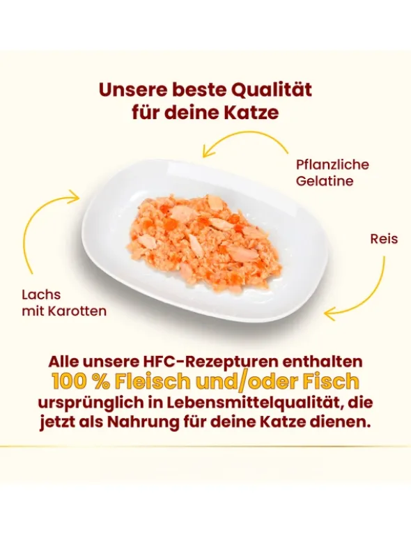 almo nature HFC Natural Lachs mit Karrotten 70g