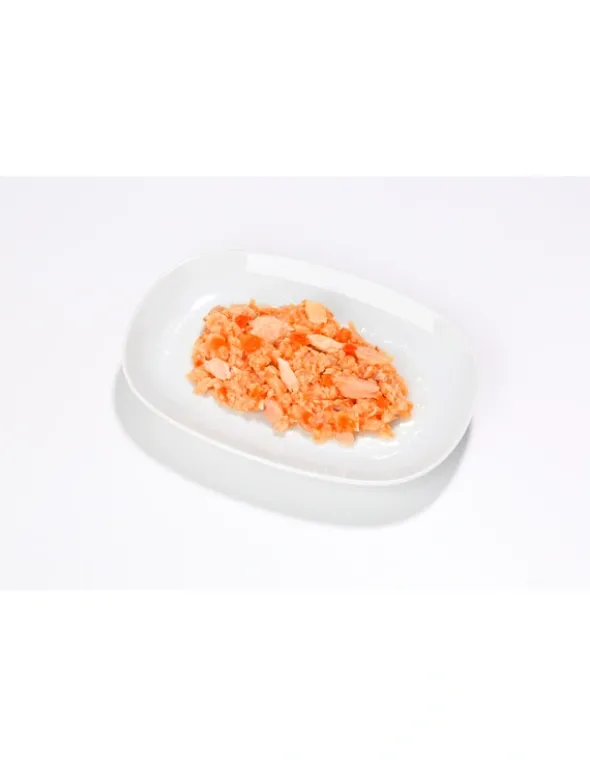 almo nature HFC Natural Lachs mit Karrotten 70g