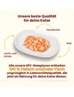 almo nature HFC Natural Lachs und Kürbis 55g