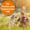 ARDAP Anti Floh Shampoo für Hunde 250ml