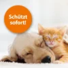 ARDAP Flohspray zur Anwendung am Tier 250ml