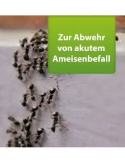 ARDAP Repell Ameisenmittel weiß 500g