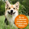 ARDAP Spot-On für Hunde 3ml