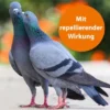 ARDAP Spot-On für Ziervögel & Brieftauben 4ml