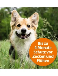 ARDAP Zecken- & Flohhalsband für Hunde bis 25 kg
