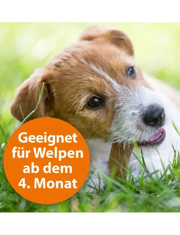 ARDAP Zecken- & Flohhalsband für Hunde bis 25 kg