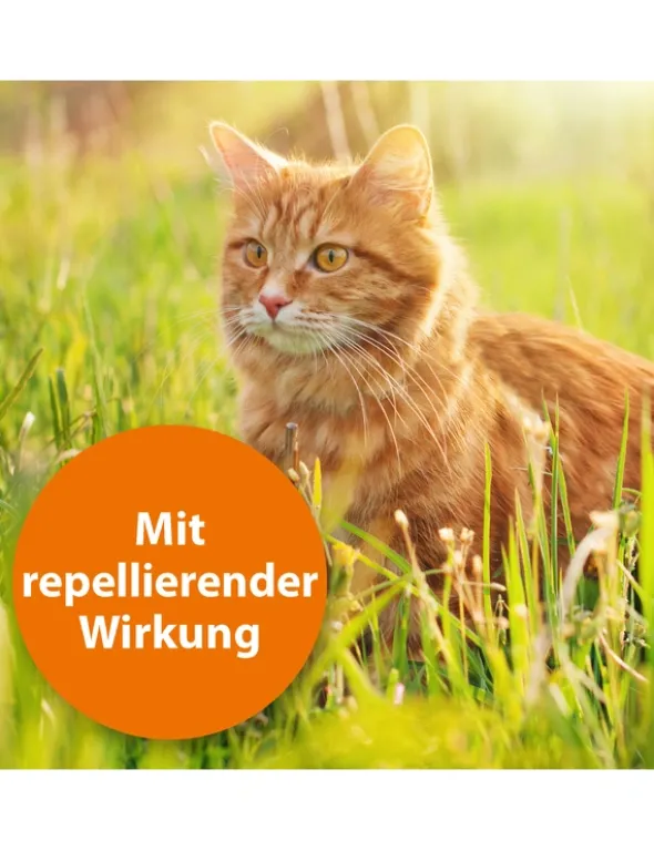 ARDAP Zecken- & Flohhalsband für Katzen