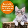 ARDAP Zecken- und Flohpuder 150g