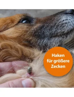 ARDAP Zeckenzange Edelstahl