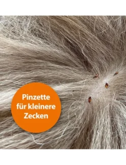 ARDAP Zeckenzange Edelstahl