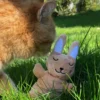Aumüller Baldi-Bunny beige M