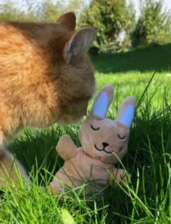 Aumüller Baldi-Bunny beige M