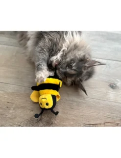 Aumüller Hummel Maggie