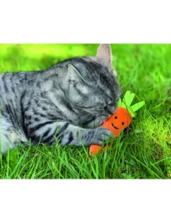 Aumüller Karotte orange M