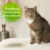 Bactador Katzen-Urin Geruchsentferner 500ml