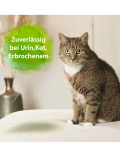 Bactador Katzen-Urin Geruchsentferner 500ml
