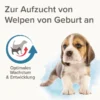 beaphar Lactol Aufzucht-Milch für Hunde 250g