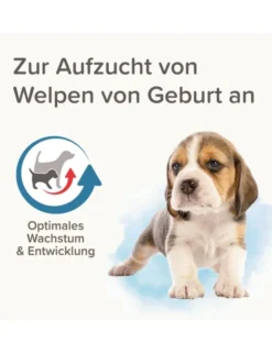 beaphar Lactol Aufzucht-Milch für Hunde 250g