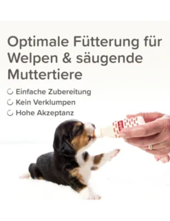 beaphar Lactol Aufzucht-Milch für Hunde 250g